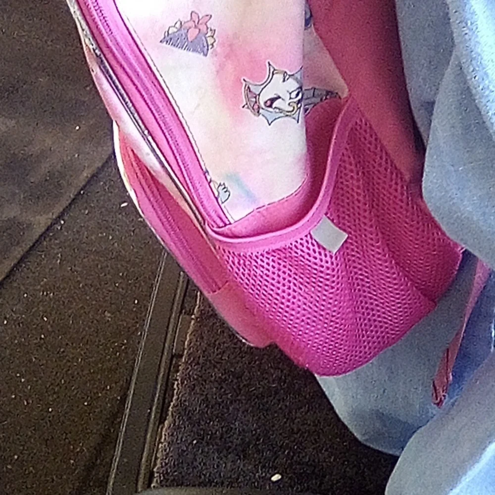 Disney Young Girl's Backpack With glitter . - Picture 3 of 7